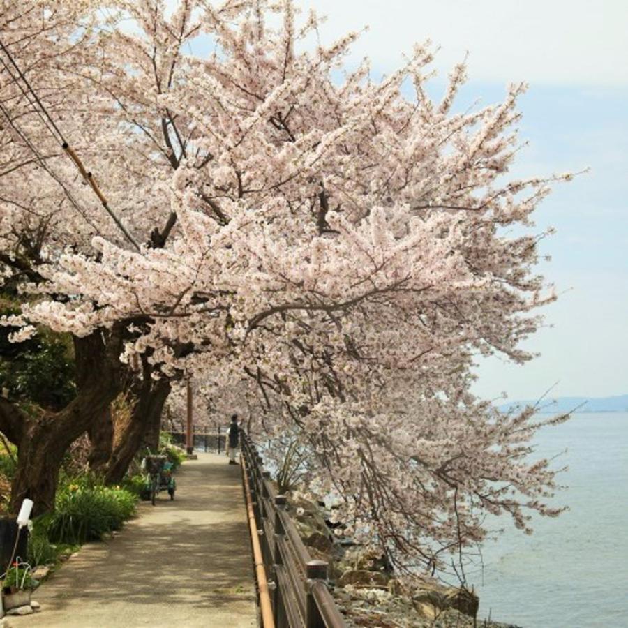 Kyukamura Ohmi-Hachiman Ōmihachiman Exterior foto