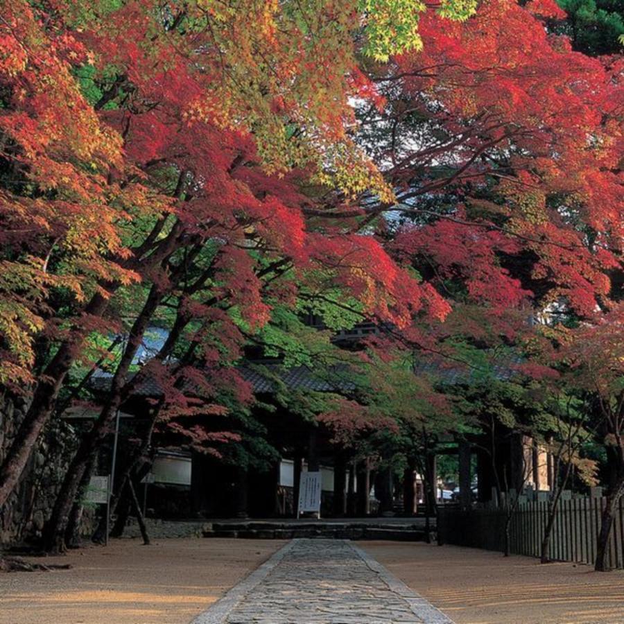 Kyukamura Ohmi-Hachiman Ōmihachiman Exterior foto
